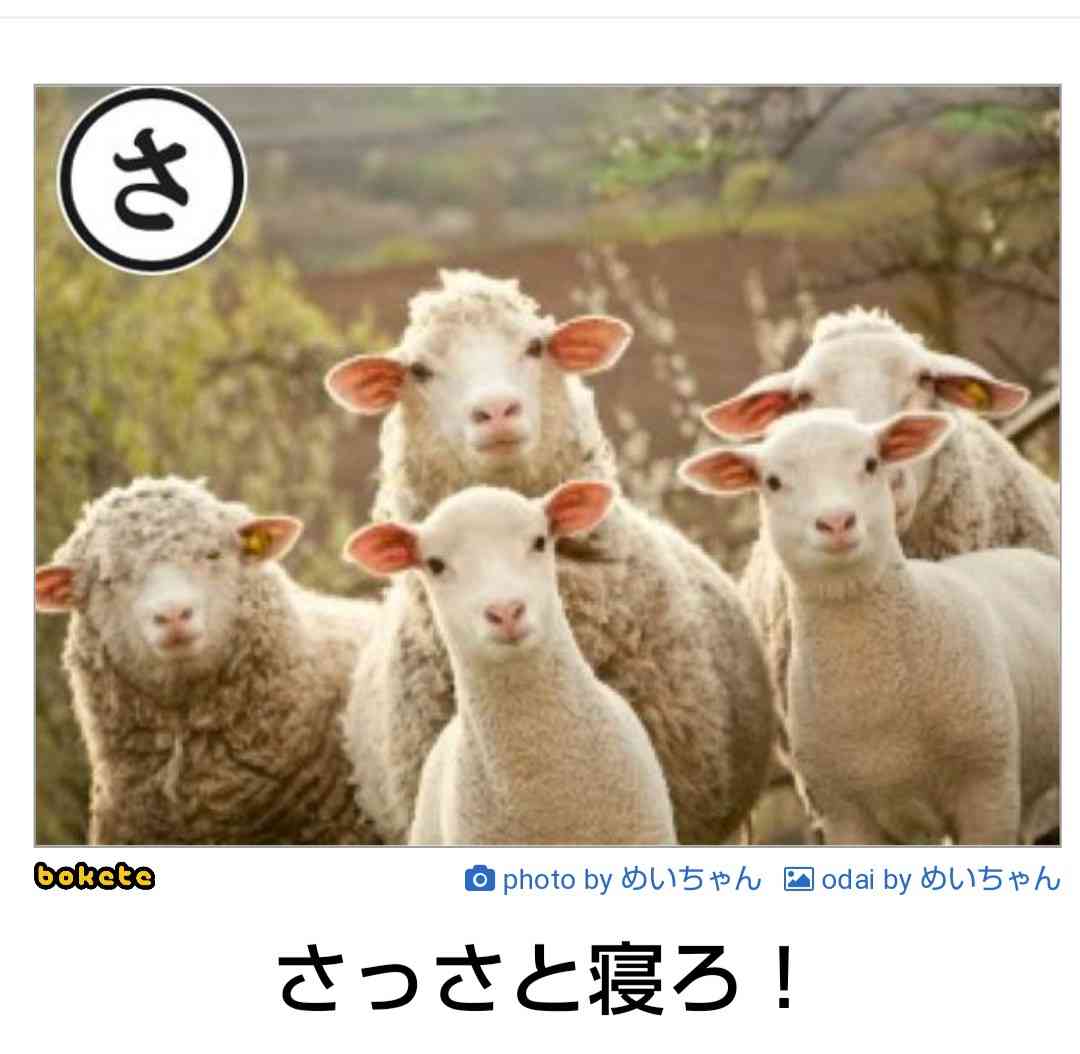 boketeで1000コメ以上を目指そう〜 part5〜