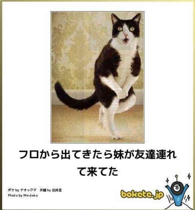 boketeで1000コメ以上を目指そう〜 part5〜
