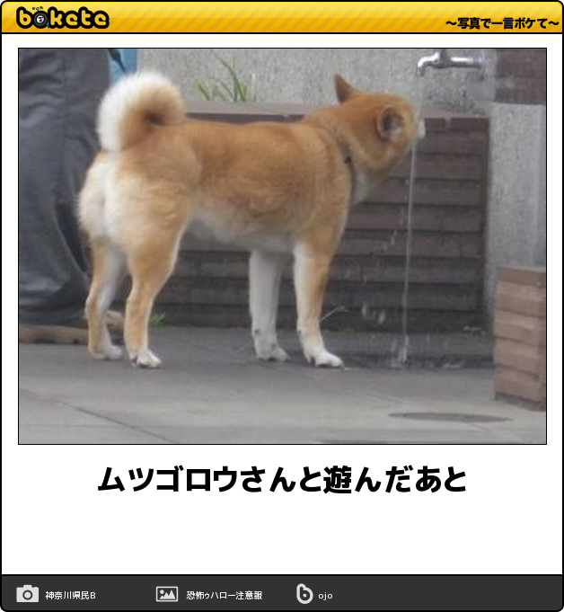 boketeで1000コメ以上を目指そう〜 part5〜