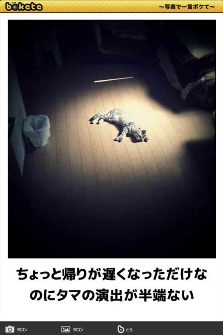boketeで1000コメ以上を目指そう〜 part5〜