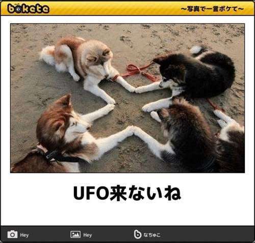 boketeで1000コメ以上を目指そう〜 part5〜
