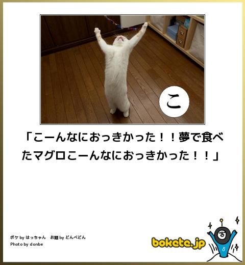 boketeで1000コメ以上を目指そう〜 part5〜
