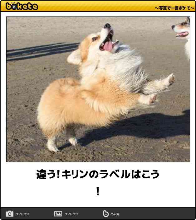 boketeで1000コメ以上を目指そう〜 part5〜