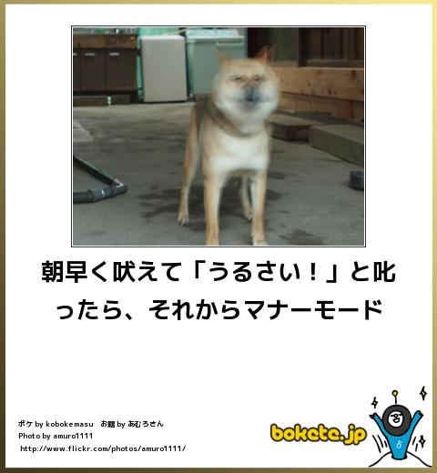 boketeで1000コメ以上を目指そう〜 part5〜