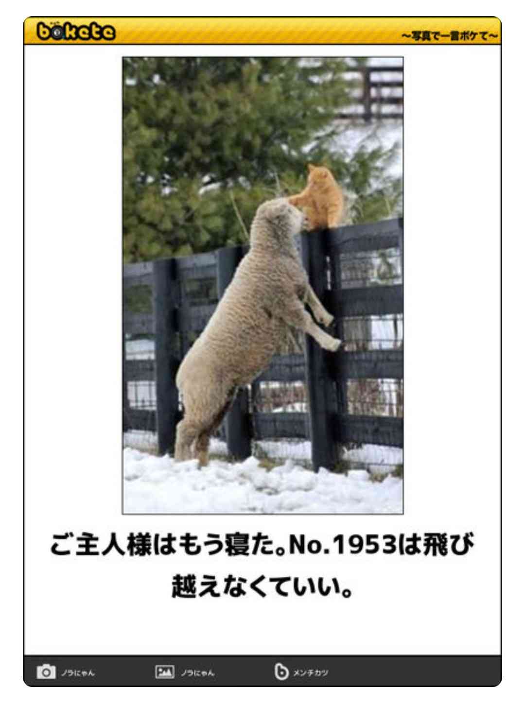 boketeで1000コメ以上を目指そう〜 part5〜