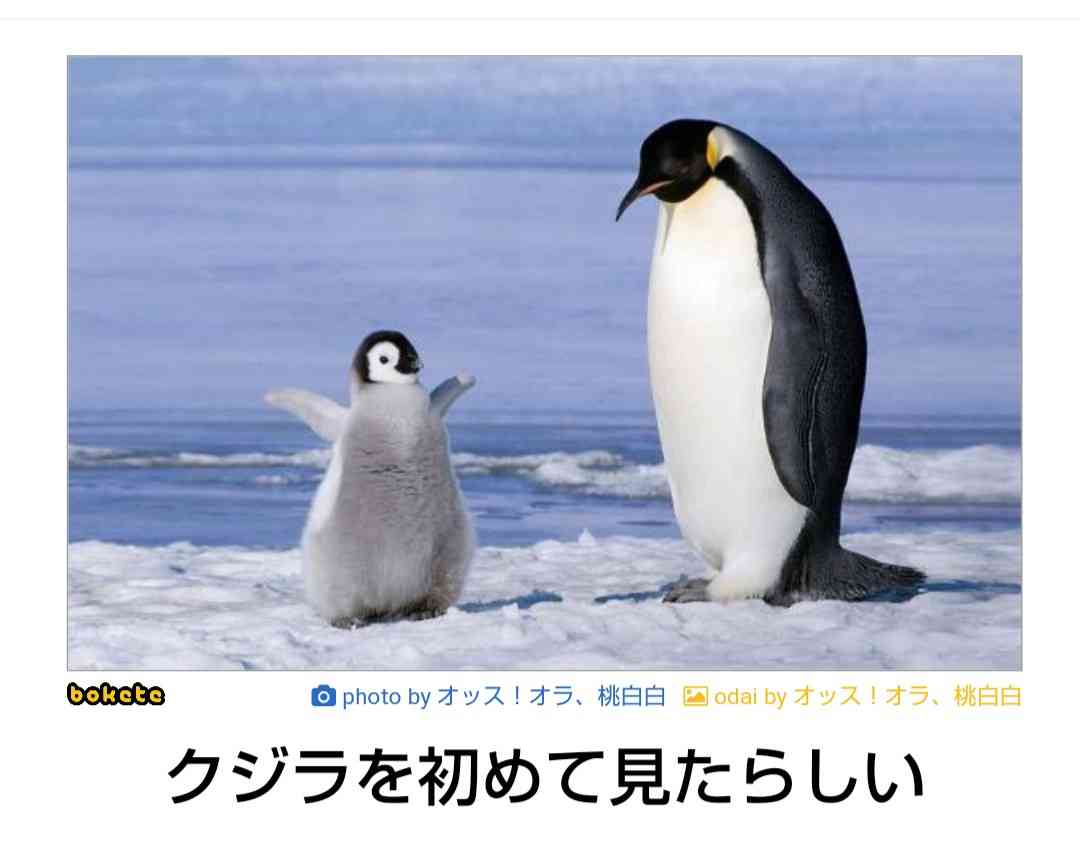 boketeで1000コメ以上を目指そう〜 part5〜
