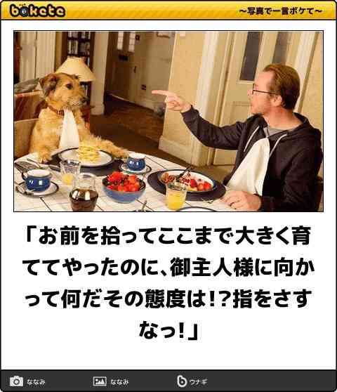 boketeで1000コメ以上を目指そう〜 part5〜