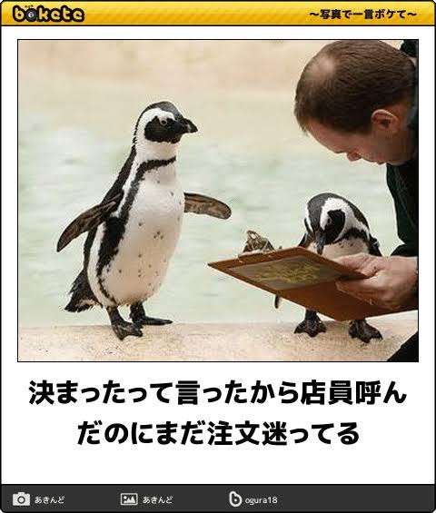 boketeで1000コメ以上を目指そう〜 part5〜