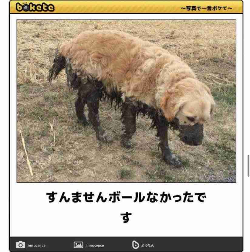 boketeで1000コメ以上を目指そう〜 part5〜