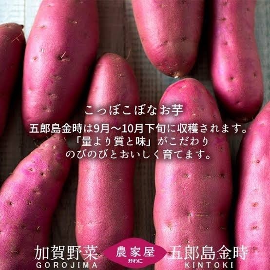 焼き芋ホクホク派？ねっとり派？