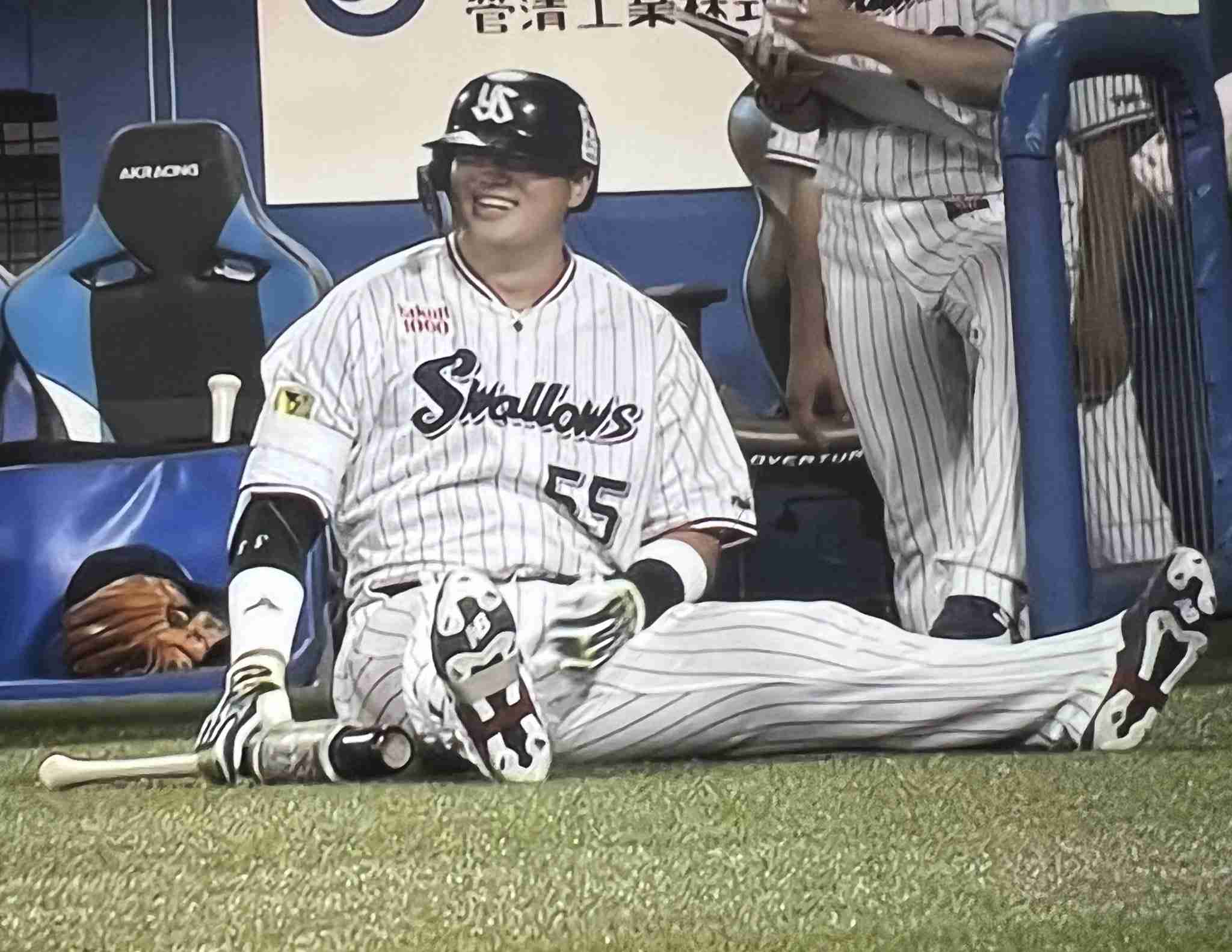 🕊️ヤクルトスワローズファン応燕トピ🕊️