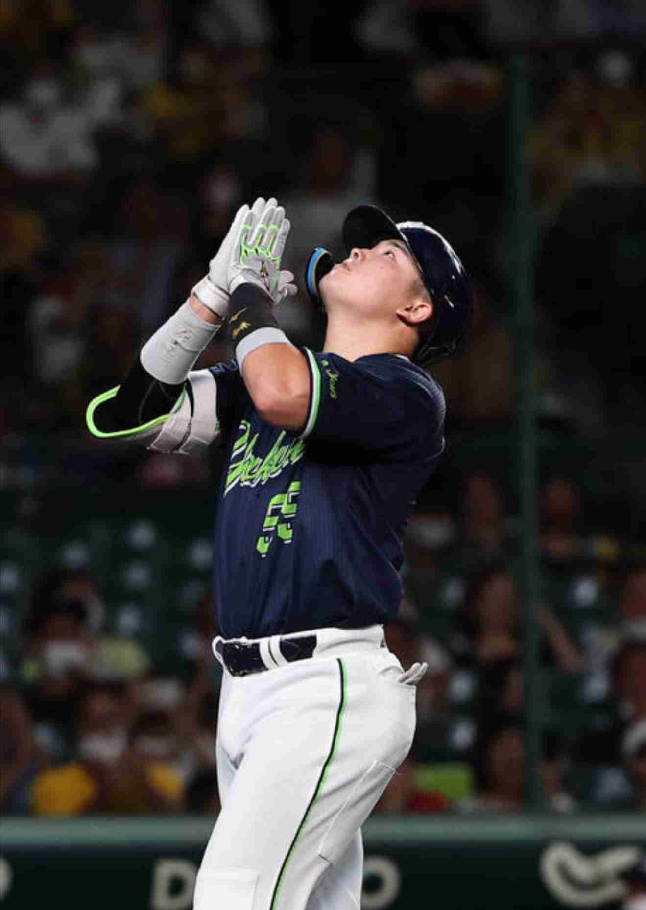 🕊️ヤクルトスワローズファン応燕トピ🕊️