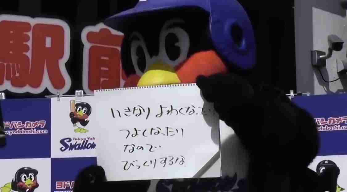 🕊️ヤクルトスワローズファン応燕トピ🕊️