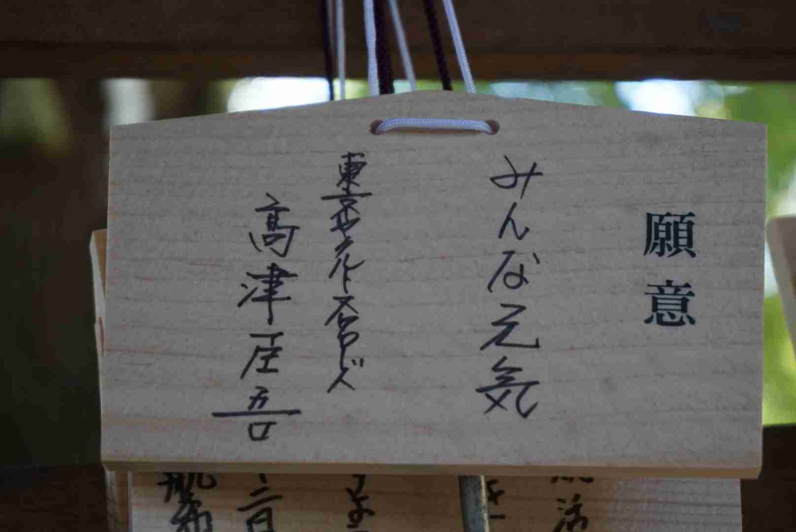 🕊️ヤクルトスワローズファン応燕トピ🕊️