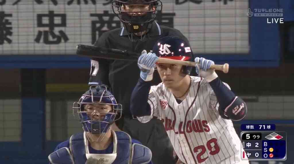 🕊️ヤクルトスワローズファン応燕トピ🕊️