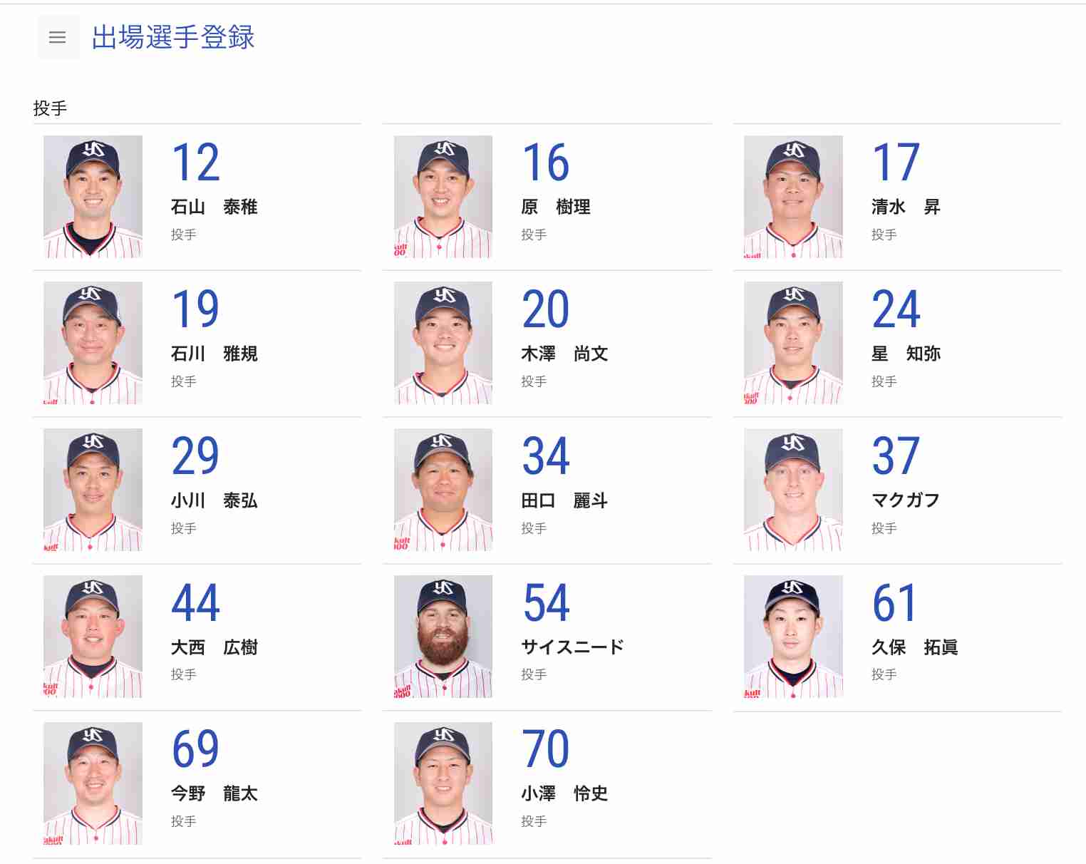 🕊️ヤクルトスワローズファン応燕トピ🕊️