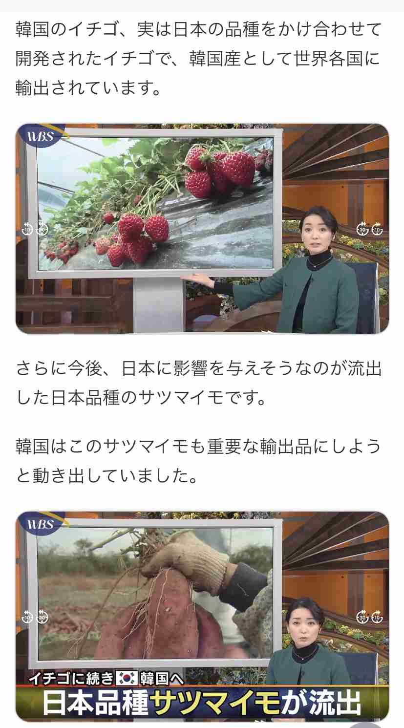 ファミマ、お芋スイーツ&ドリンクが19種登場 「紅はるか」使用のねっとり食感