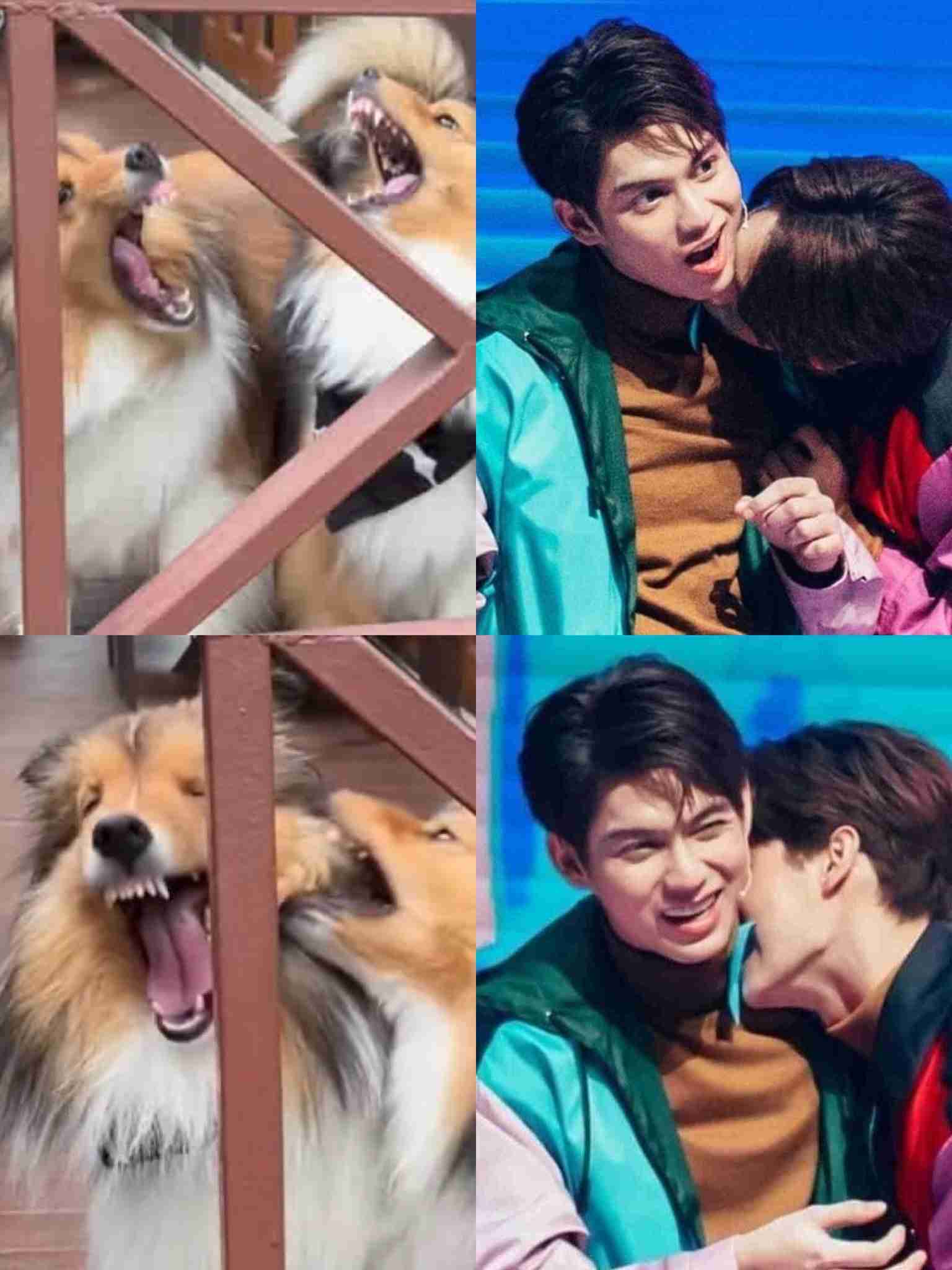 【定期】2gether the seriesについて話そうPart29【タイBL】