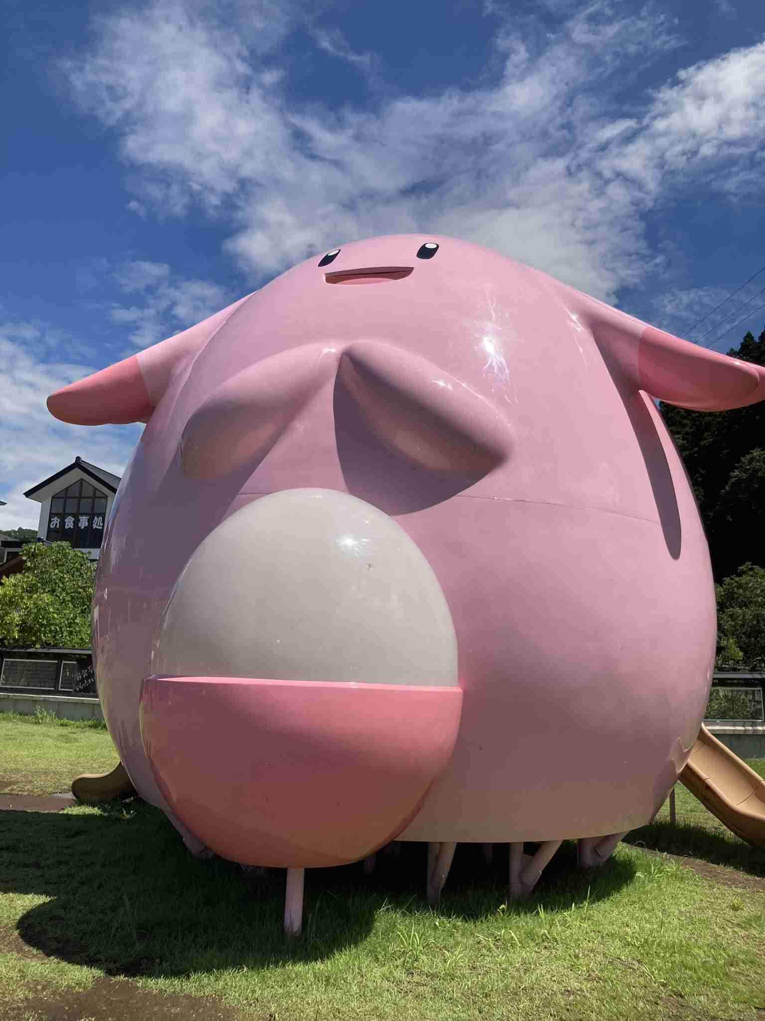 お子さんが夢中になっていること教えて下さい
