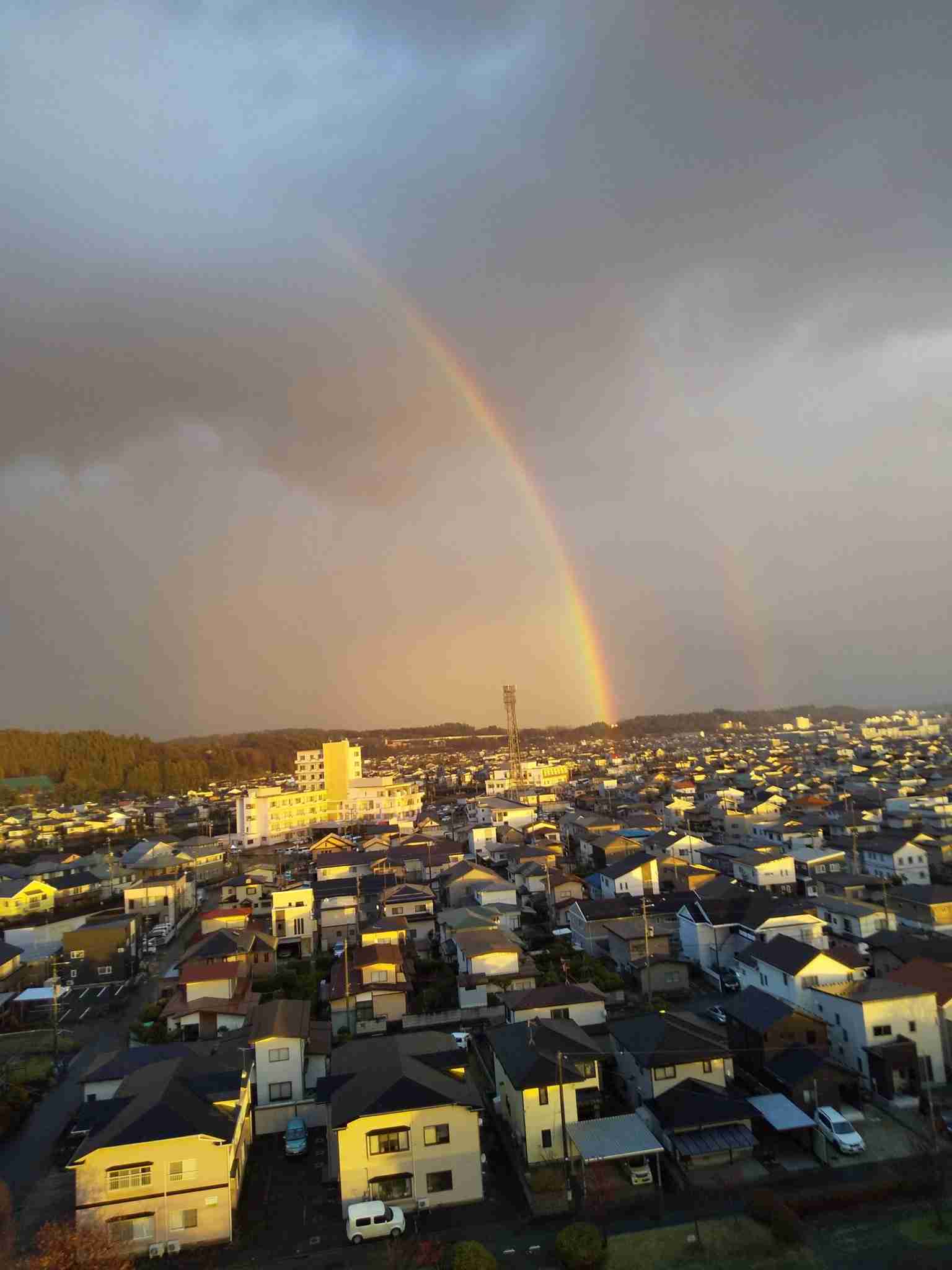 虹が好き!