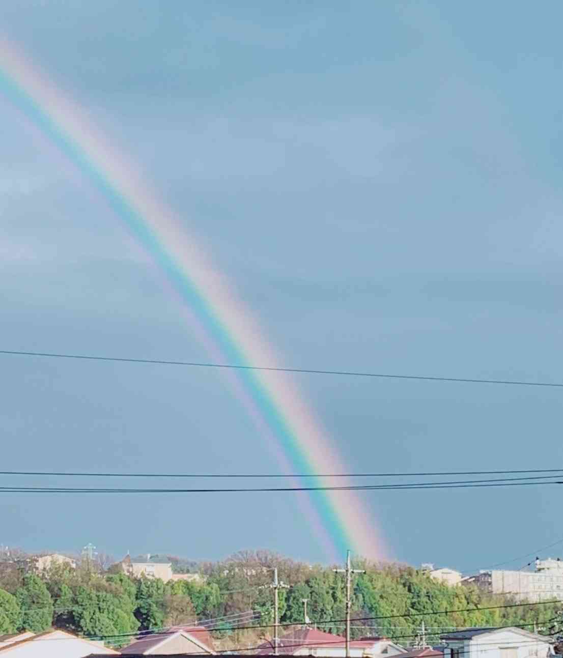 虹が好き!
