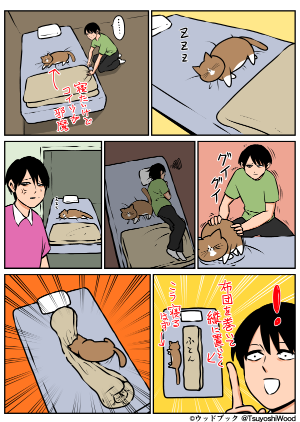 猫のためのベッドがあっても…猫が飼い主の枕を寝床にしたり、飼い主の布団に入りたがる健気な理由