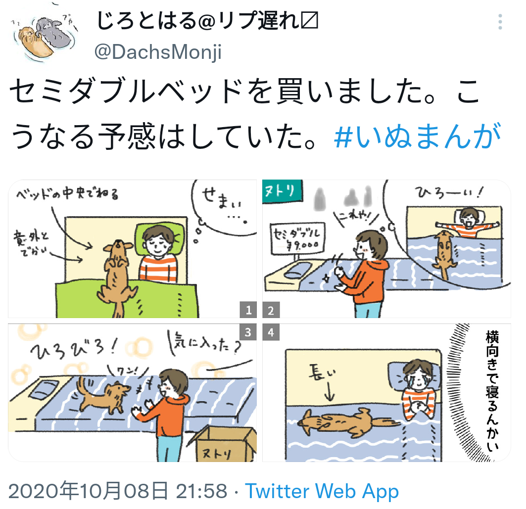 猫のためのベッドがあっても…猫が飼い主の枕を寝床にしたり、飼い主の布団に入りたがる健気な理由