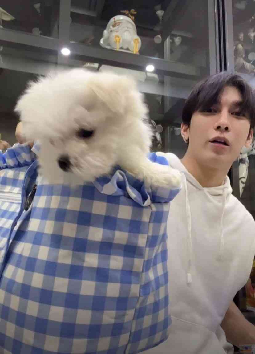 【定期】2gether the seriesについて話そうPart30【タイBL】