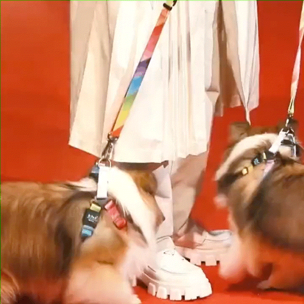 【定期】2gether the seriesについて話そうPart30【タイBL】