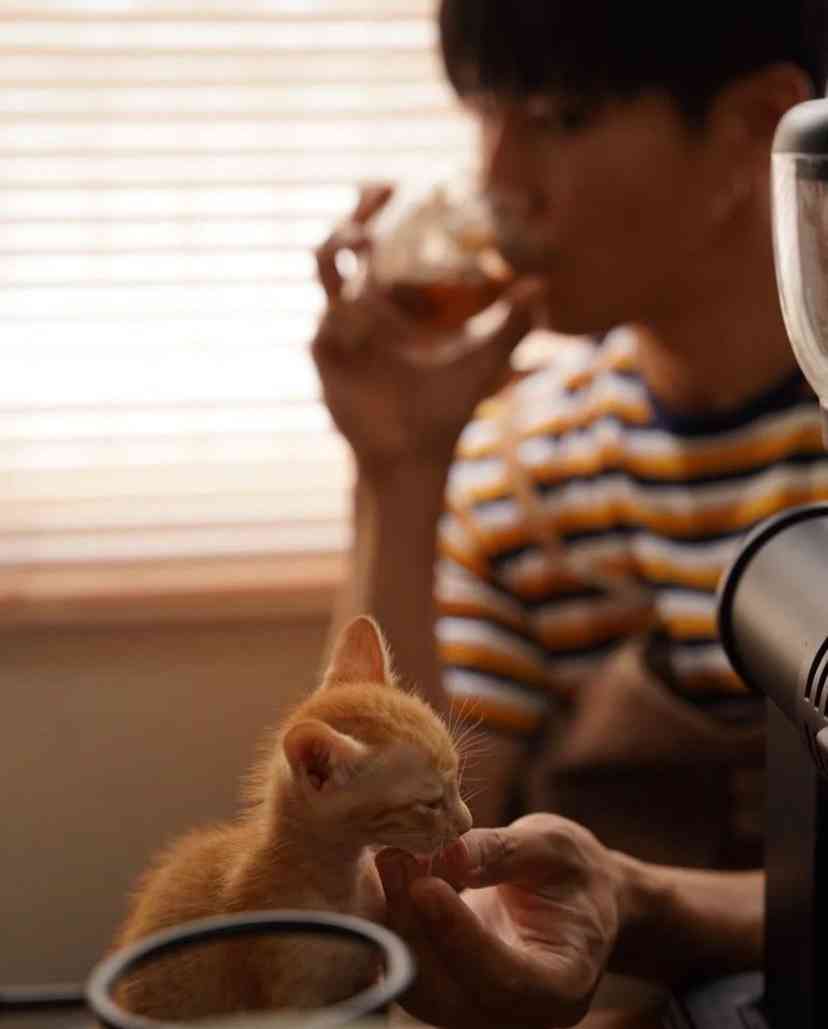 【定期】2gether the seriesについて話そうPart30【タイBL】