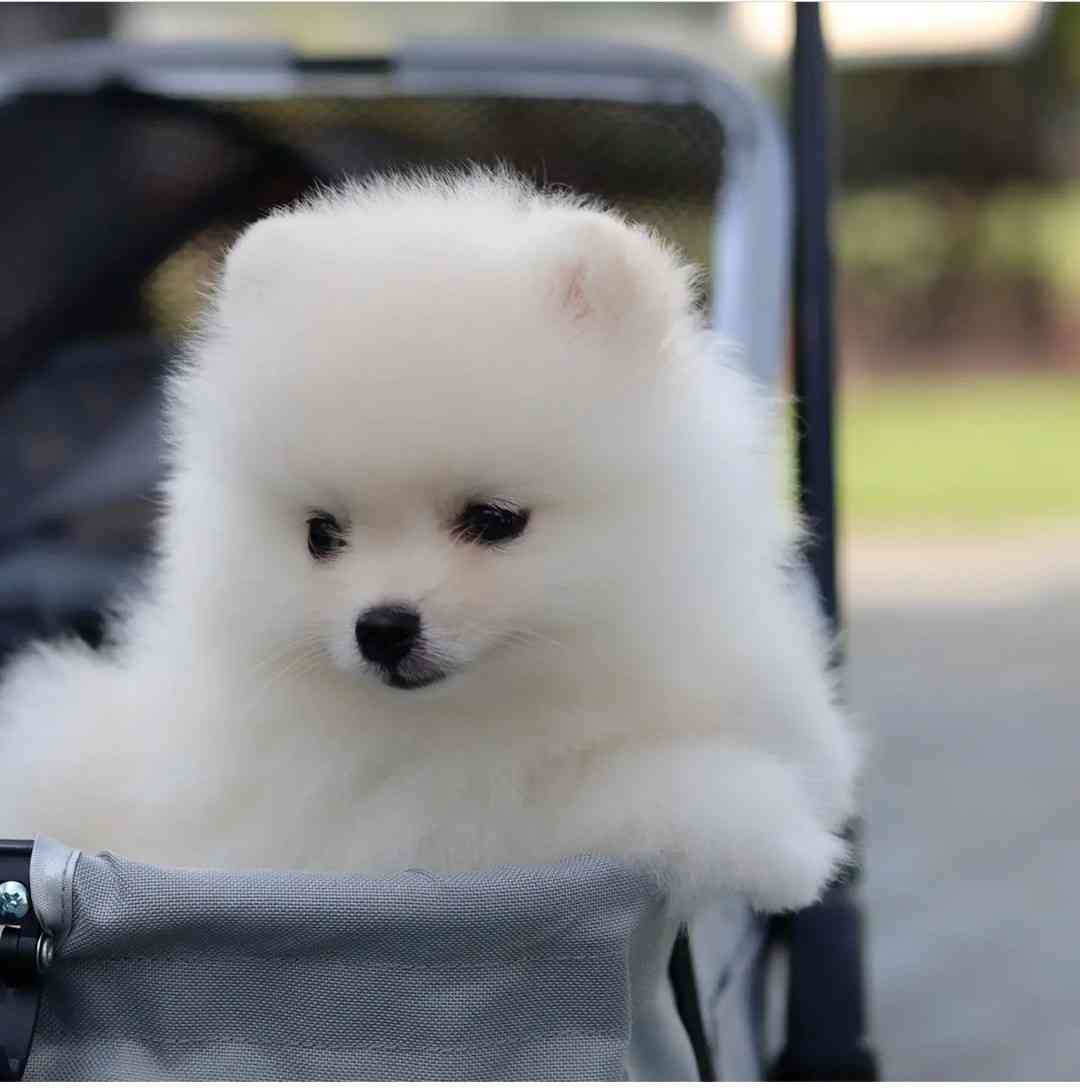 【定期】2gether the seriesについて話そうPart30【タイBL】