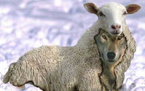 ひろゆき氏 安倍元首相の国葬に私見「政治家が功罪あるのは当然」「彼なりに日本の為に色々とやって…」