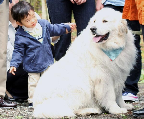 有名人と動物が一緒に写ってる画像を貼るトピ