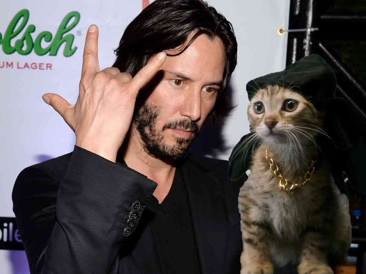 有名人と動物が一緒に写ってる画像を貼るトピ