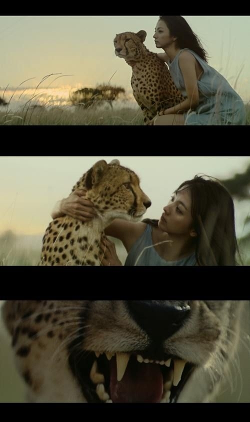有名人と動物が一緒に写ってる画像を貼るトピ