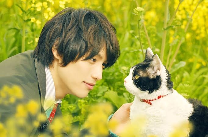 有名人と動物が一緒に写ってる画像を貼るトピ