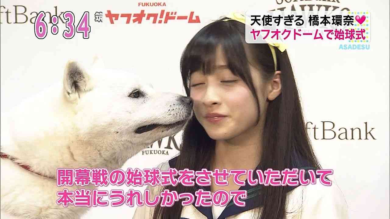 有名人と動物が一緒に写ってる画像を貼るトピ