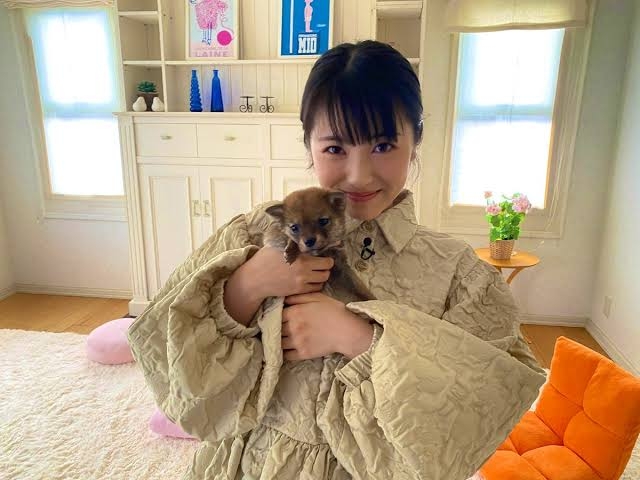 有名人と動物が一緒に写ってる画像を貼るトピ