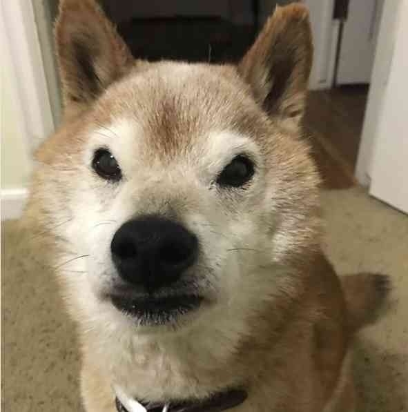 「俺は一体何やってるんだ」ダウン症の子を産む…決断した家族の思い