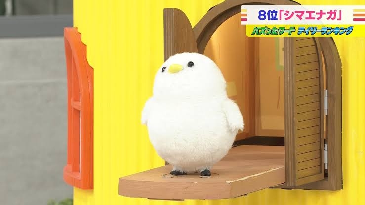 安住紳一郎アナウンサーを応援しよう！