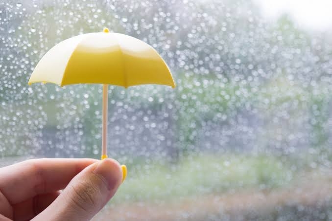 旅行の日が雨！