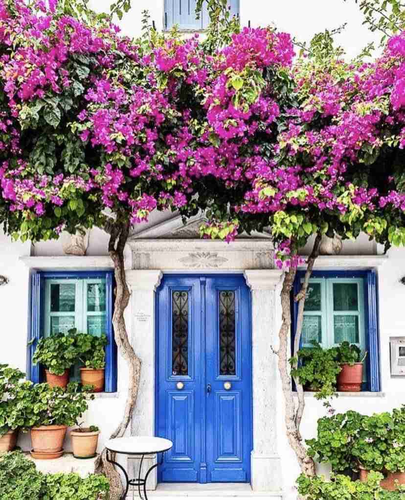 オシャレなデザインのお家が見たい❗