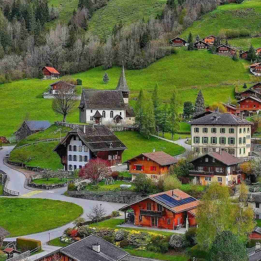オシャレなデザインのお家が見たい❗