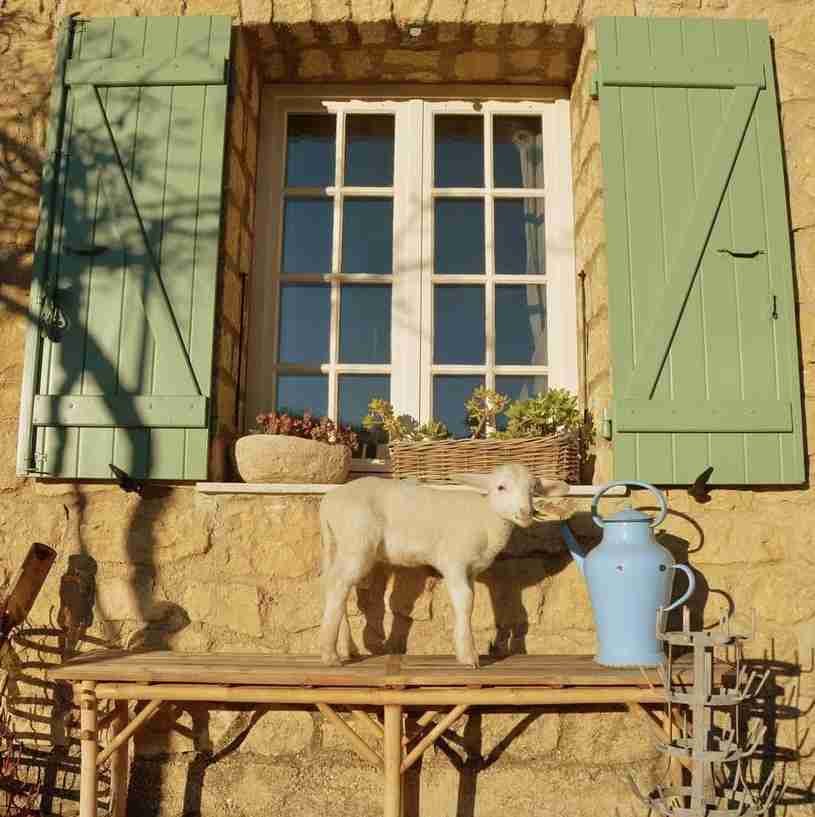 オシャレなデザインのお家が見たい❗