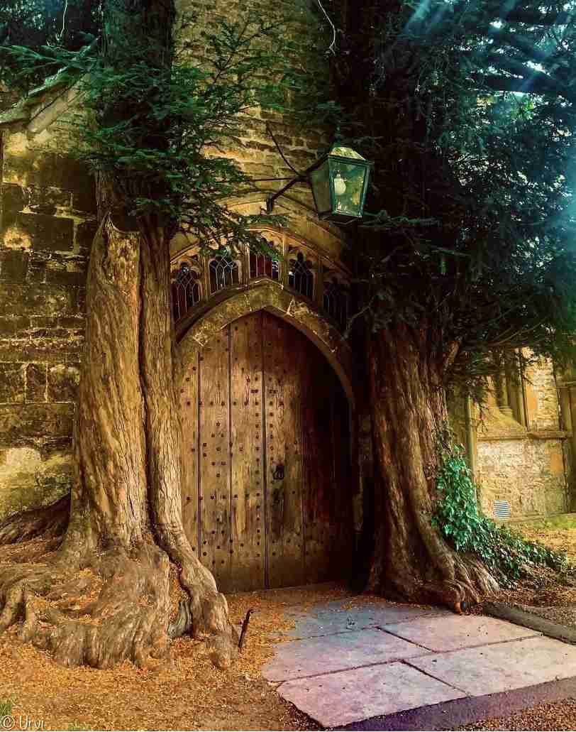 オシャレなデザインのお家が見たい❗