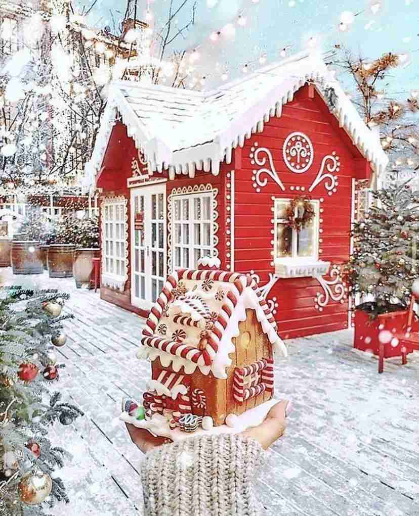 オシャレなデザインのお家が見たい❗