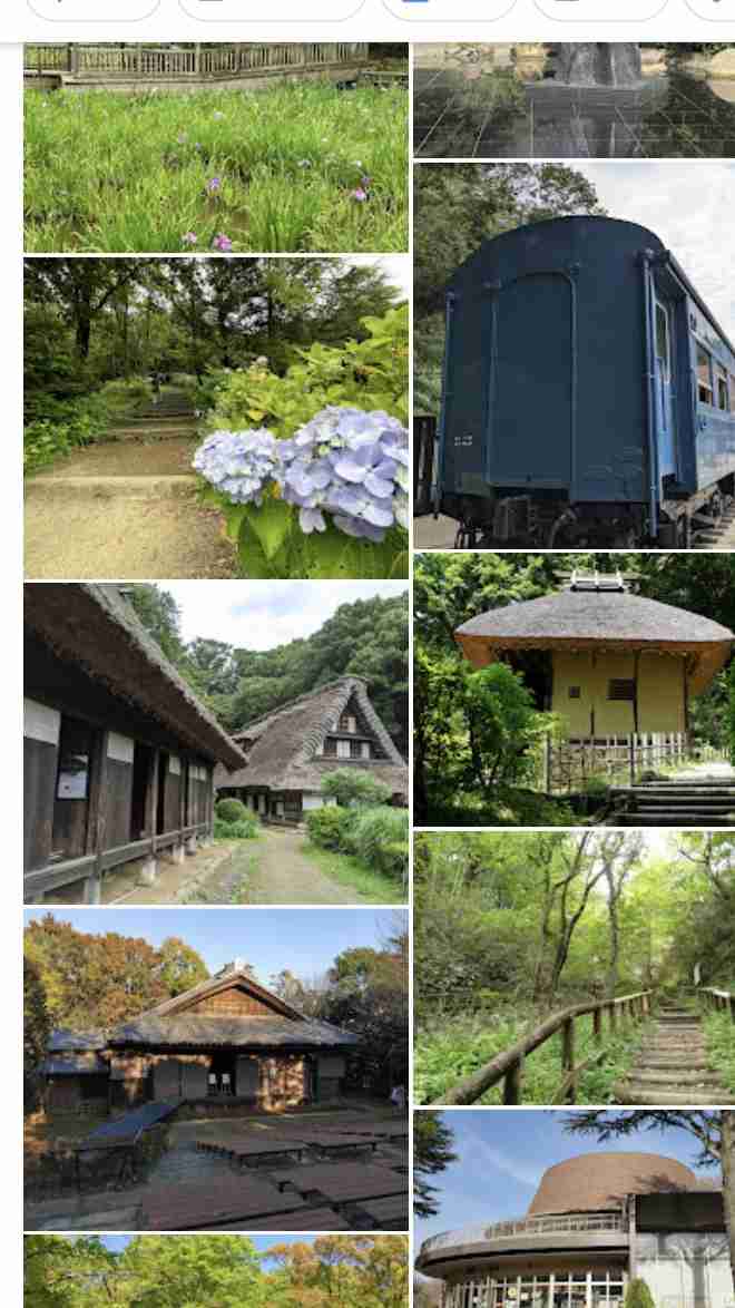 教えて！小田急線沿線のお散歩スポット