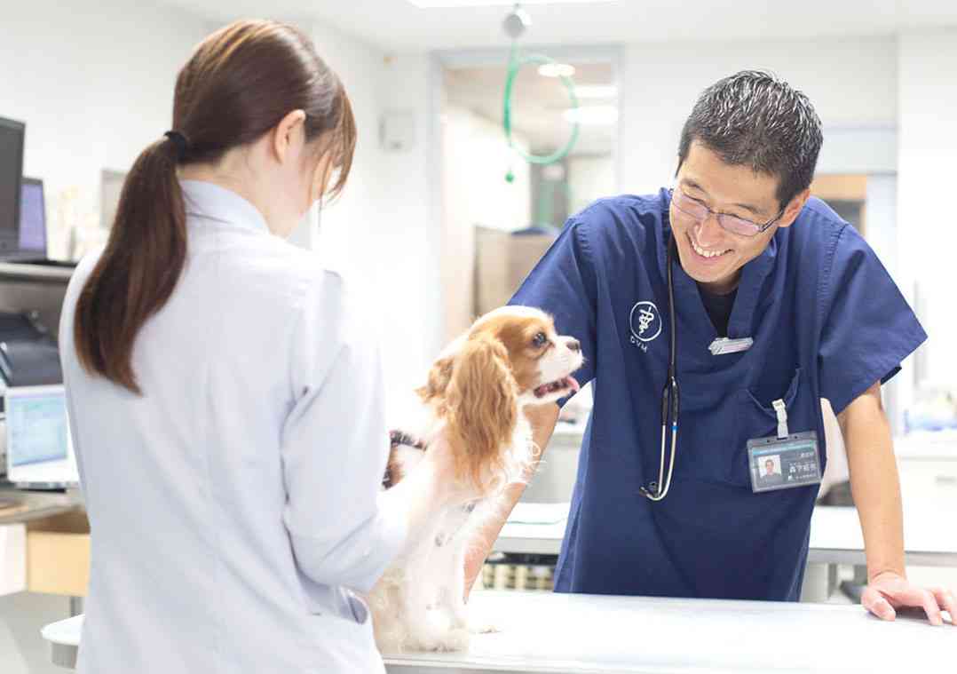 動物病院を選ぶ基準はなんですか？