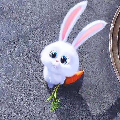 見た目とギャップがあったキャラクター