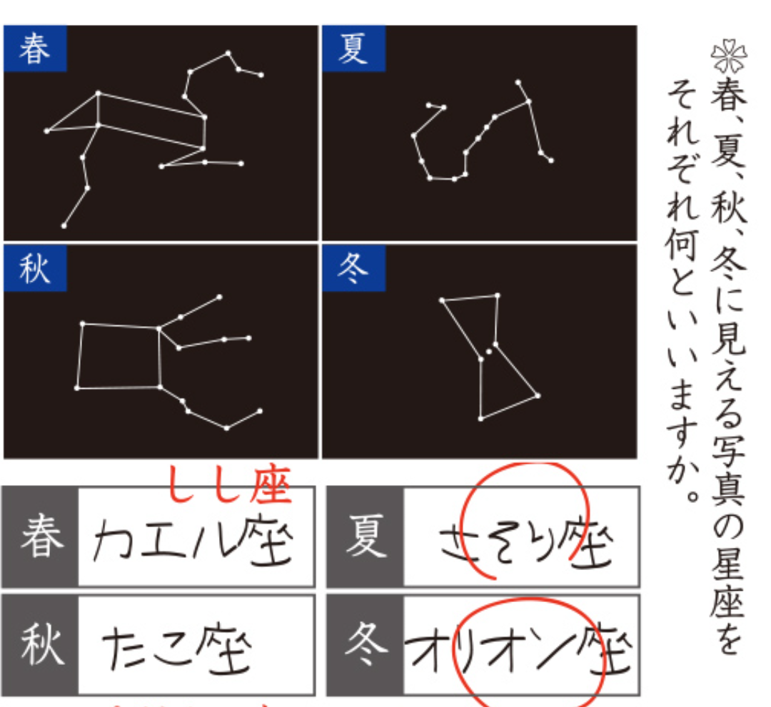 テストや問題集の珍回答・教科書の落書きが見たい